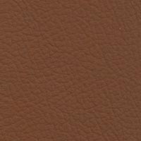 Image for option Batick Leather - Warm Brown