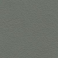 Image for option Paloma Leather - Sage Green