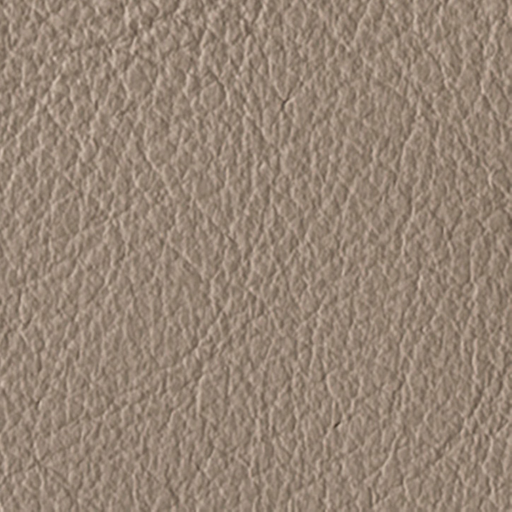 Image for option Leather - Taupe