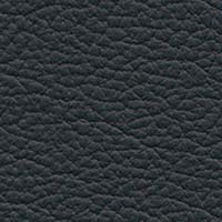 Image for option Batick Leather - Black