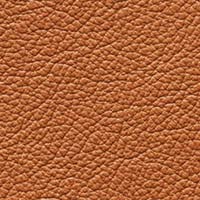 Image for option Paloma Leather - New Cognac