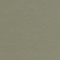 Image for option Paloma Leather - Shadow Green