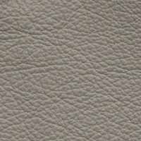Image for option Paloma Leather - Silver Grey