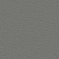 Image for option Paloma Leather - Metal Grey