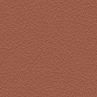 Image for option Paloma Leather - Copper