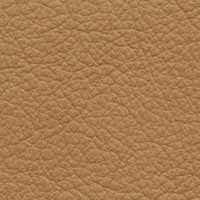 Image for option Paloma Leather - Almond