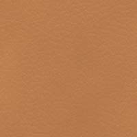 Image for option Paloma Leather - Taupe
