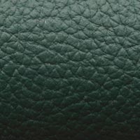 Image for option Paloma Leather - Dark Green